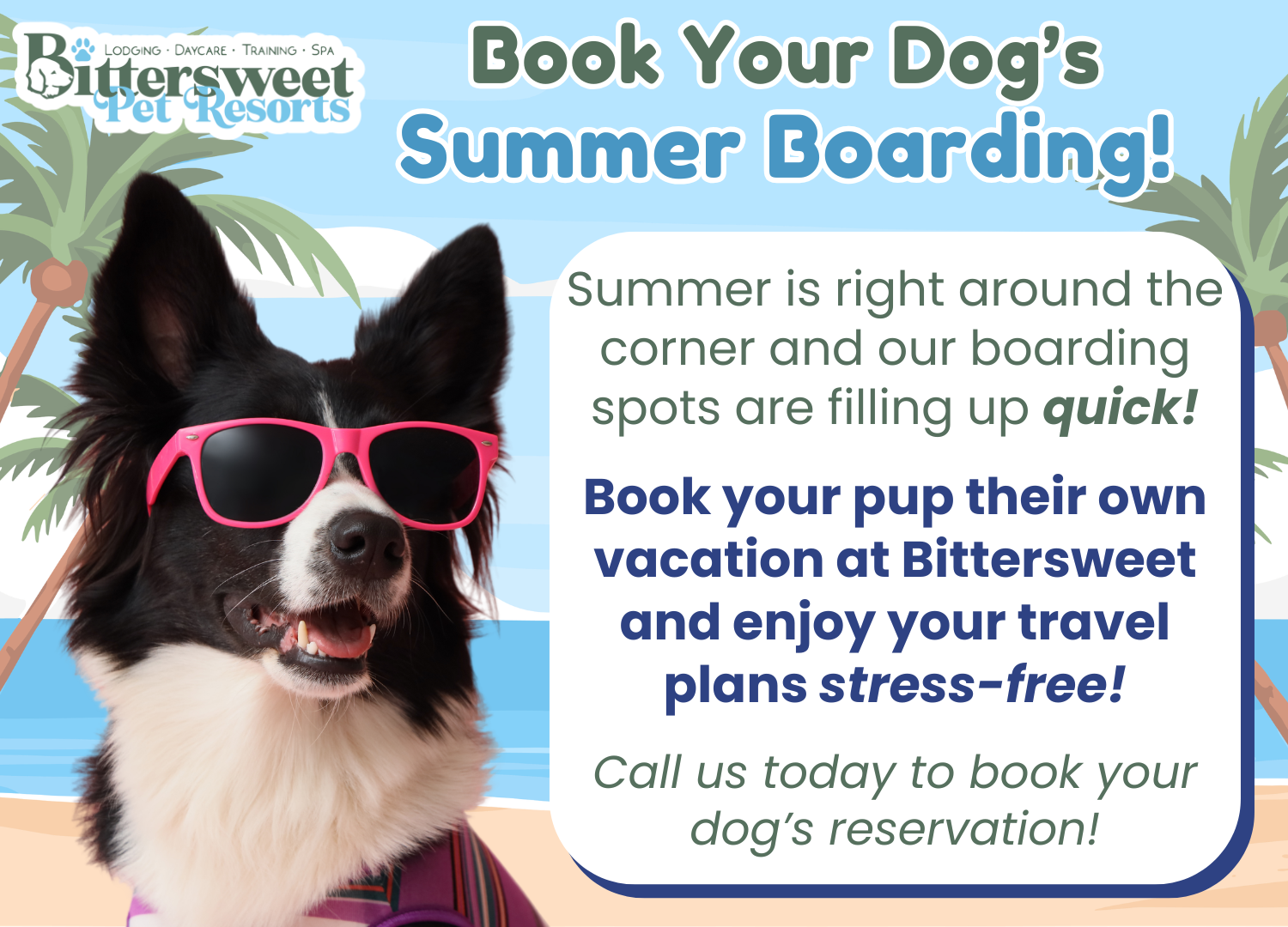 Summer Boarding Pop-Up