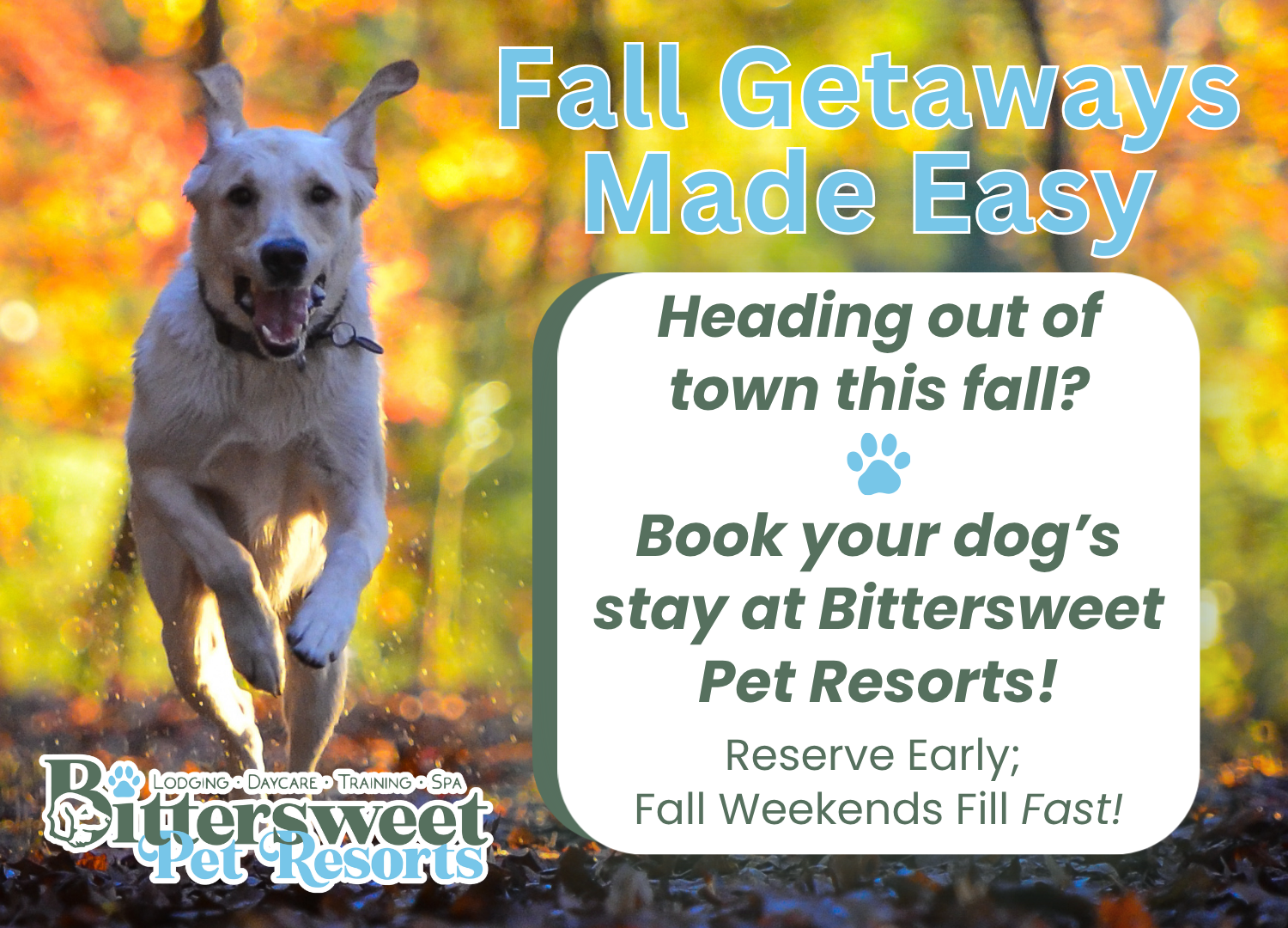 Fall Boarding Pop-Up