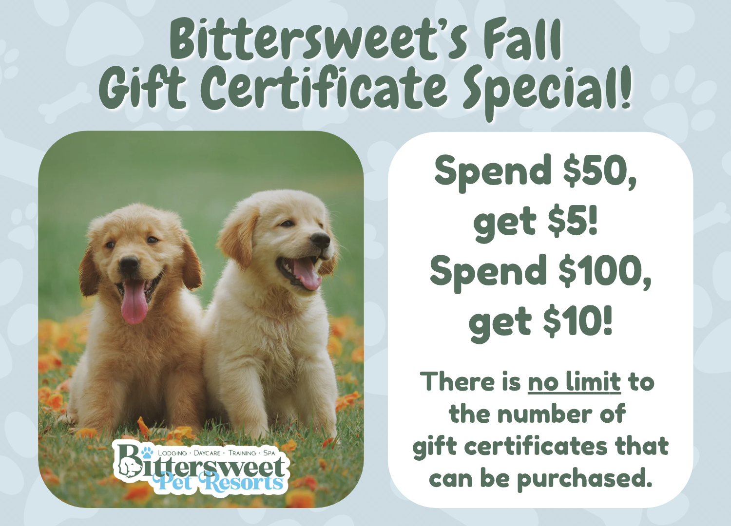 Fall Gift Cards Pop-Up