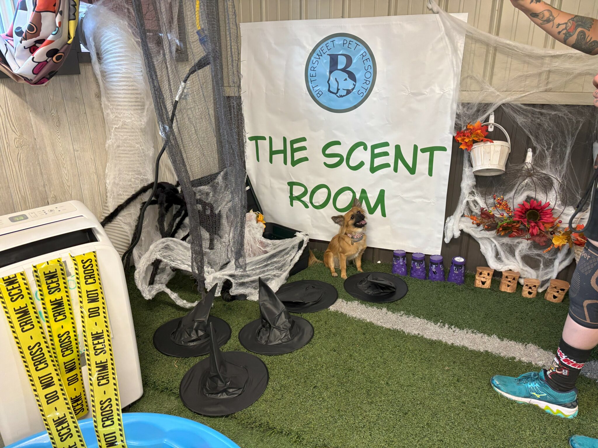 View of The Scent Room with toys and equipment at Bittersweet Pet Resorts for Dog Daycare near Michigan City, IN